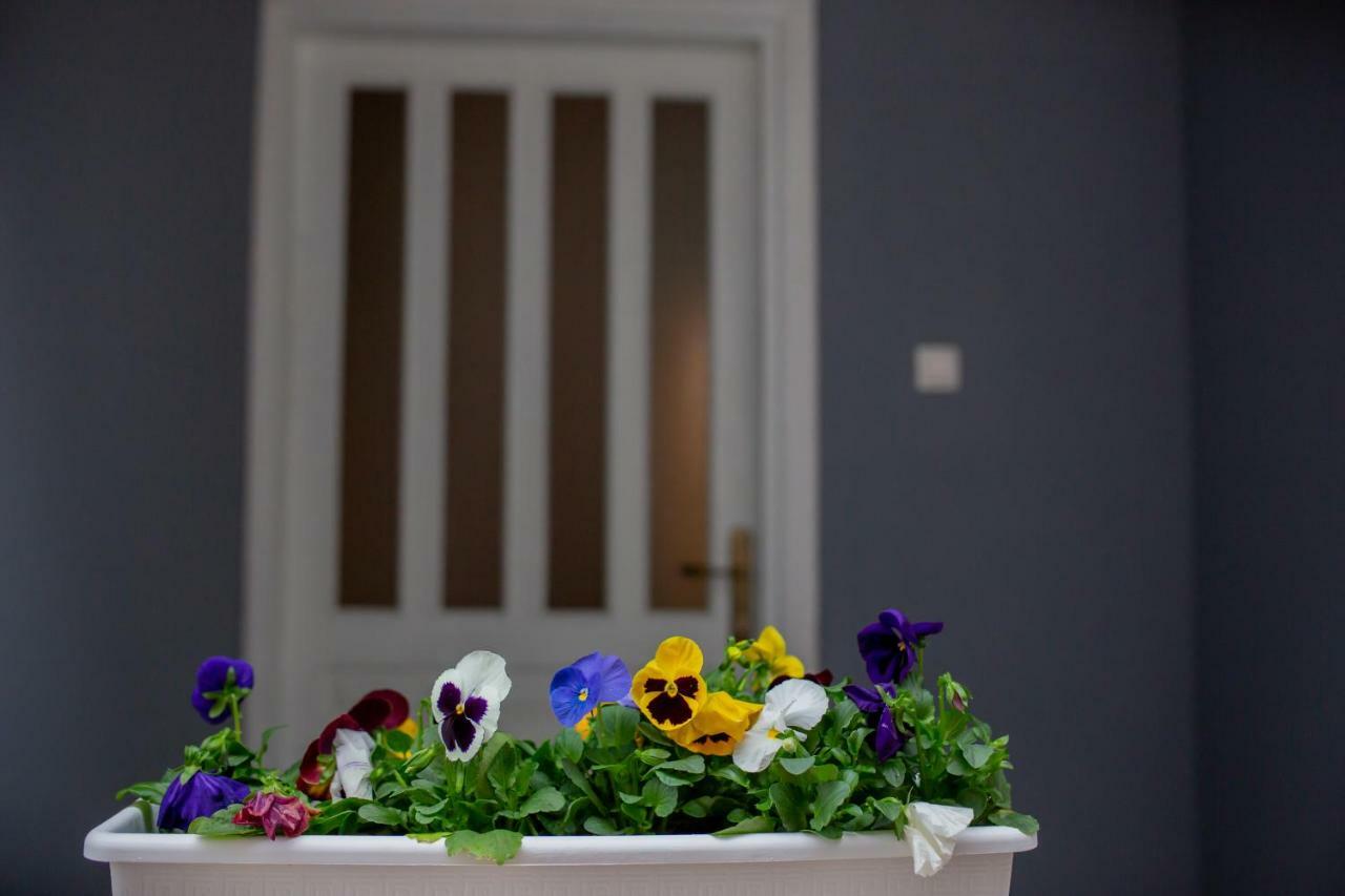 Apartmani Sunset Rogotin Dış mekan fotoğraf